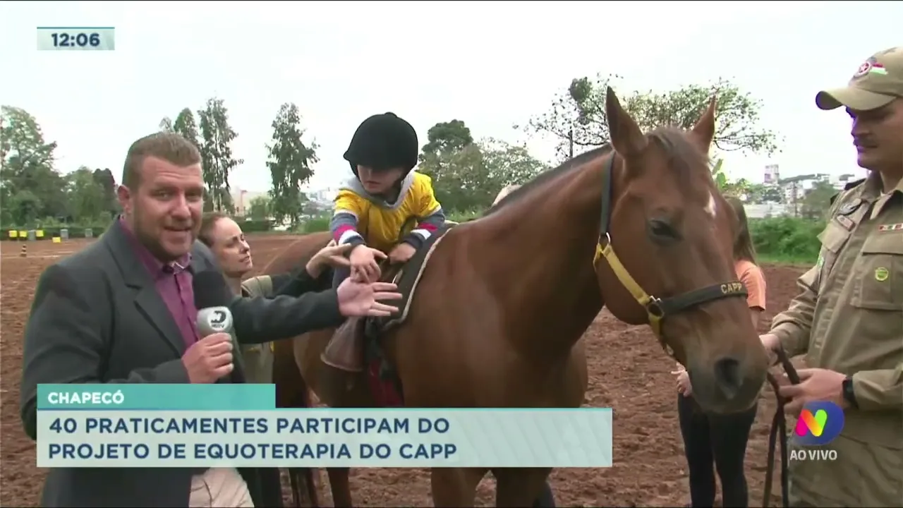 No Dia Nacional da Equoterapia, conheça os benefícios para quem pratica