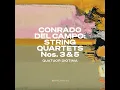 String Quartet No. 5 in F Minor, "Romantic Caprices": II. Scherzo (Vivo y caprichoso) - Quatuor Diotima