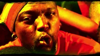zola stars official music video 