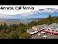 10 Best Things to Do in Arcata California