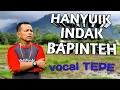 Download Lagu Hanyuik Ndak Bapinteh Zalmon - Lagu Pop Minang Terbaru - COVER Tepe