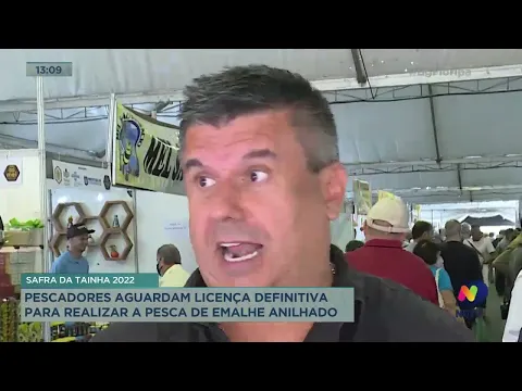 Safra da tainha: pescadores aguardam licença definitiva para realizar a pesca de emalhe anilhado