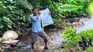 Oysters and 150 Plus Glass Belly Waterfall fish catching