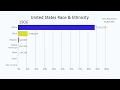 History of Race Ethnicity in the United States 1610-2060