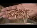Peanut Butter | How It's Made