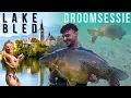 Download Lagu Karpervissen op het MOOISTE meer van Europa! (Lake Bled) | 2x PR \u0026 BIGGEN van BLED