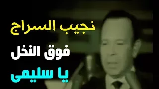 نجيب السراج فوق النخل يا سليمى  نجيب السراج فوق النخل يا سليمى