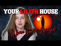 Black Moon Lilith Through The Houses 1-12 Where You Are Villainized Avenged Empowered