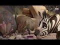 Download Lagu Khumba   Full Movie In English With Subtitles   Animated Cartoon Movie   English Fairy Tales mp4