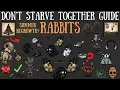 Don t Starve Together Guide Rabbits - Hidden Mechanics Trap-less Farming More