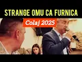 Download Lagu Muzică Lăutărească Petrecere 8 mai 2025 Formația Accent Sinaia