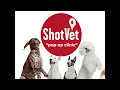 Worried Vet Charges You 500 for Basic Shots