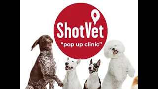 Worried Vet Charges You 500 for Basic Shots