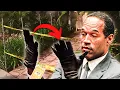 The OJ case What most likely happened