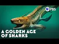 Download Lagu The Rise and Fall of the Weirdest Sharks