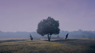 biru baru hati manusia hati yang terluka lyric video 