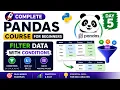 Complete Pandas Course for Beginners 2026 Filter Data with Conditions isin Day 5
