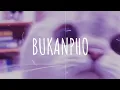 Download Lagu [Vietsub + Lyric] Bukanpho - DJ DESA (remix) | Music Tik Tok