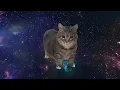 OIIA OIIA (Spinning Cat) - Lyrics Video