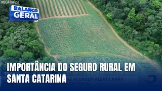Mudanças climáticas elevam busca por seguro rural entre produtores de SC