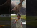 Download Lagu Humans vs Dinosaurs: Everyday Chaos 😂🦖🤯 (Fan Film)