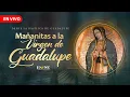 Lagu EN VIVO: Las mañanitas a la Virgen de Guadalupe 2025
