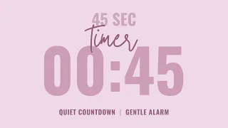 45 Second Quiet Countdown Timer Gentle Alarm Aesthetic Pastel Pink
