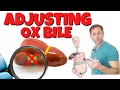 How to Adjust Ox Bile Dose and Timing with No Gallbladder