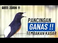 Download Lagu PANCINGAN MURAI BATU AGAR EMOSI BONGKAR ISIAN FULL TEMBAKAN KASAR JUARA MASTERAN MURAI BATU