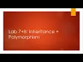 Lab 7 8 Inheritance Polymorphism