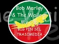 Bob Marley & The Wailers - My Cup