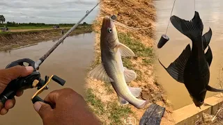 Today I fished in the canal with Catfish #fishing