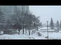 STAY HOME Brutal Winter Storm on Highway 401 Dangerous Road Conditions