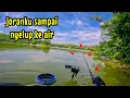 EDAAN‼️ BARU PERTAMA KE SPOT INI JORANKU SAMPAI NYELUP KE AIR || mancing ikan nila di waduk sangiran
