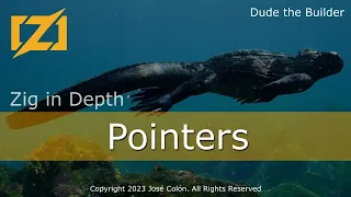 Zig in Depth Pointers