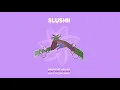 Download Lagu Slushii - Never Let You Go (feat. Sofia Reyes) [Wh0's Festival Remix] {Official Audio}