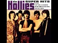 Download Lagu The Hollies...He Ain't Heavy, He's My Brother...Extended Mix...