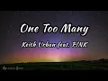 Keith Urban - One Too Many feat. P!NK (Lyrics)