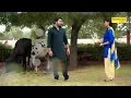 Download Lagu badli badli lage dil ke bavan lagi sapna chudari and vickky kajla