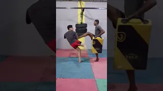 مواي تاي ملاكمة تايلندية محمد رضا 