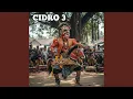 CiDRO 3