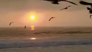 حالات واتس اب قرآن كريم بصوت جميل جدا ورائع ومنظر طبيعى فوق الخيال 