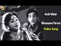 Lagu Mouname Parvai Video Song | Kodimalar Movie Songs | Muthuraman | R.Vijayakumari | TVNXT Tamil Music