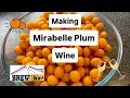 How To Make Mirabelle Plum Wine