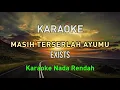 Download Lagu Masih terserlah ayumu karaoke EXISTS nada rendah pria