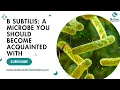 B subtilis A microbe you should become acquainted with