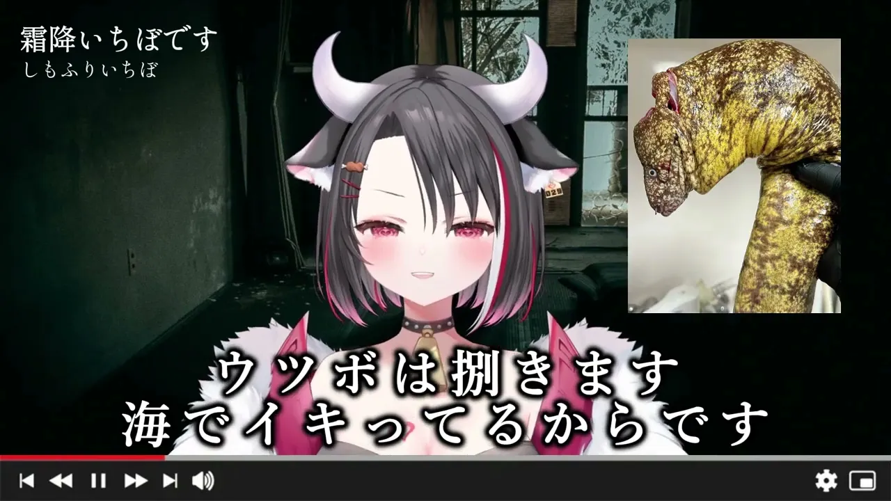 動画を読み込む: 