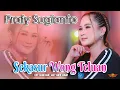 Download Lagu SEKASUR WONG TELUAN - PRATY SUGIANTO ( Official Video Music )