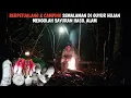 Download Lagu Berpetualang \u0026 camping di hutan, di guyur hujan, memasak jamur \u0026 sayuran liar | CAMPING @GOTOLiving 