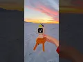 Mr Fun Computer Flies Away